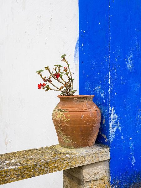 Eggers, Julie 아티스트의 Portugal-Obidos-Plant in a terracotta pot on stone bench작품입니다.